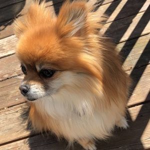 Meet your Posher, Emmerlene